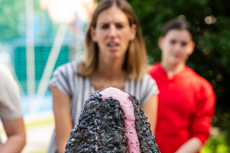 Festival podjetništva za mlade _ 2025 (18)